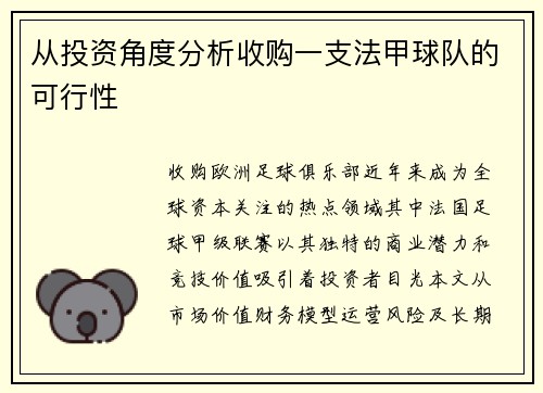 从投资角度分析收购一支法甲球队的可行性