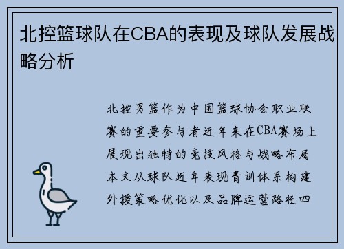 北控篮球队在CBA的表现及球队发展战略分析